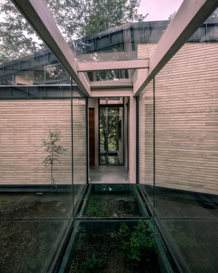 Forest House